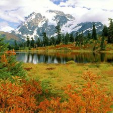 Cross stitch pattern: #266114