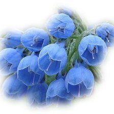 Cross stitch pattern: #266249