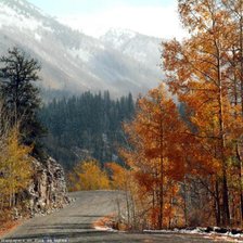 Cross stitch pattern: #266576