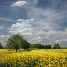 Cross stitch pattern: #266578