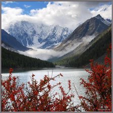 Cross stitch pattern: #266583