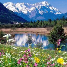 Cross stitch pattern: #266586