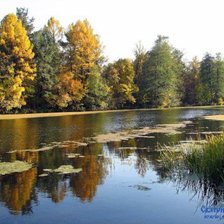 Cross stitch pattern: #266587