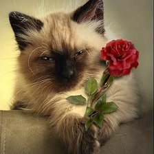 Cross stitch pattern: #267360