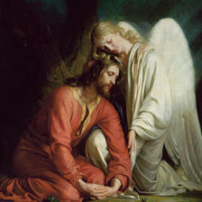 Cross stitch pattern: #267623