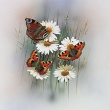 Cross stitch pattern: #267951