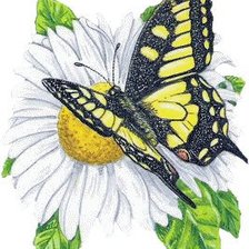 Cross stitch pattern: #267956