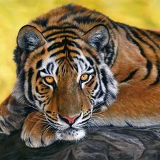 Cross stitch pattern: #267963