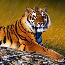 Cross stitch pattern: #267969