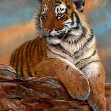 Cross stitch pattern: #267971