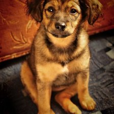 Cross stitch pattern: #267974