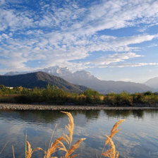 Cross stitch pattern: #268234