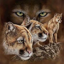 Cross stitch pattern: #268241