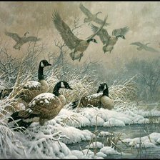 Cross stitch pattern: #268248