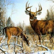 Cross stitch pattern: #268262