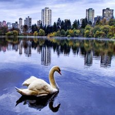 Cross stitch pattern: #268409