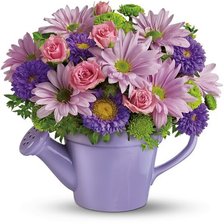Cross stitch pattern: #268673