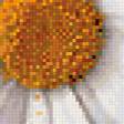 Preview of cross stitch pattern: #268694