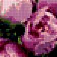 Preview of cross stitch pattern: #268700