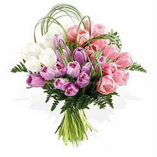 Cross stitch pattern: #268700