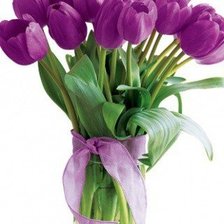 Cross stitch pattern: #268704