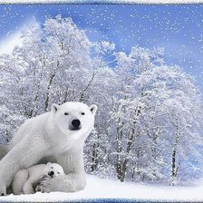 Cross stitch pattern: #269084