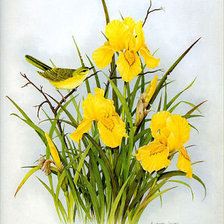 Cross stitch pattern: #269086