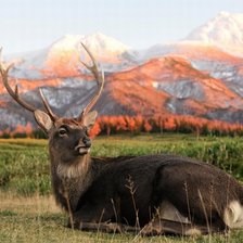 Cross stitch pattern: #269122