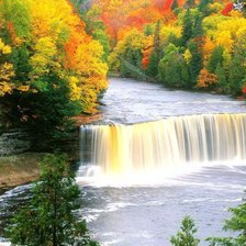 Cross stitch pattern: #269215