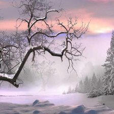 Cross stitch pattern: #269220