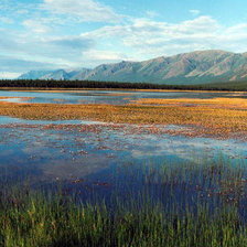 Cross stitch pattern: #269229