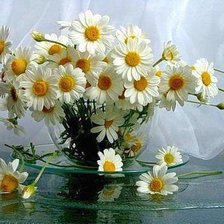 Cross stitch pattern: #269231