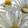 Preview of cross stitch pattern: #269237
