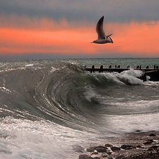 Cross stitch pattern: #269243