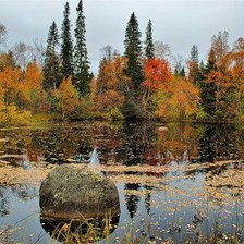 Cross stitch pattern: #269247