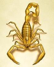 Cross stitch pattern: #270487