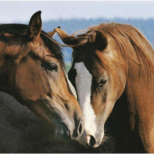 Cross stitch pattern: #270492