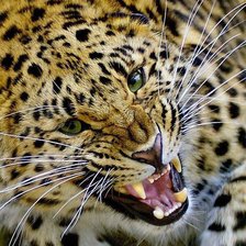 Cross stitch pattern: #270494