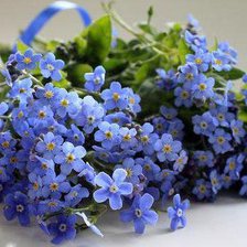 Cross stitch pattern: #270496