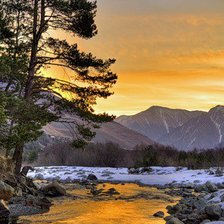 Cross stitch pattern: #270498