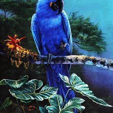 Cross stitch pattern: #272042