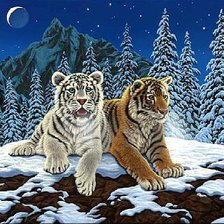 Cross stitch pattern: #272204