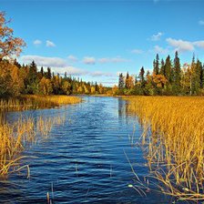 Cross stitch pattern: #272238