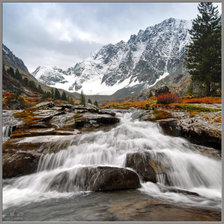 Cross stitch pattern: #272242