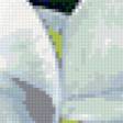 Preview of cross stitch pattern: #272409