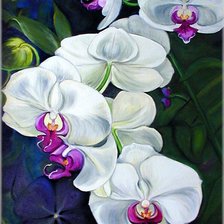 Cross stitch pattern: #272409