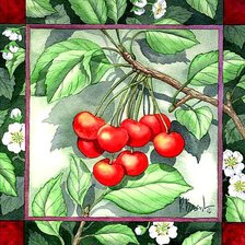 Cross stitch pattern: #273269