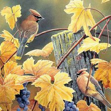 Cross stitch pattern: #273399