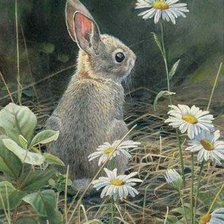 Cross stitch pattern: #273400