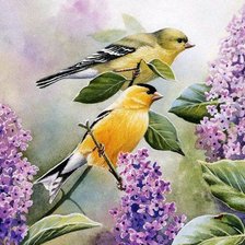 Cross stitch pattern: #273402